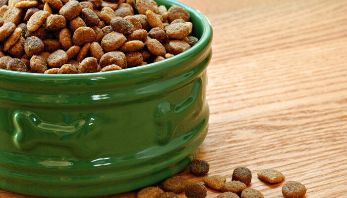 10 Dog Food Deals to Expect for Black Friday 2023