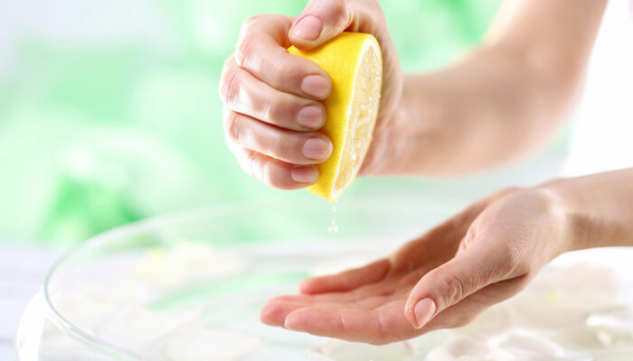 8 ways to deal with flea and tick infestations